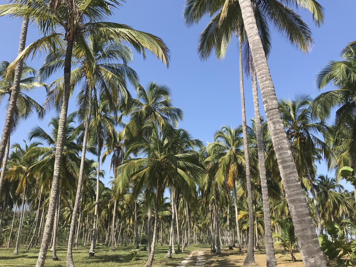 Playa Pikua Ecolodge Гуачака Экстерьер фото